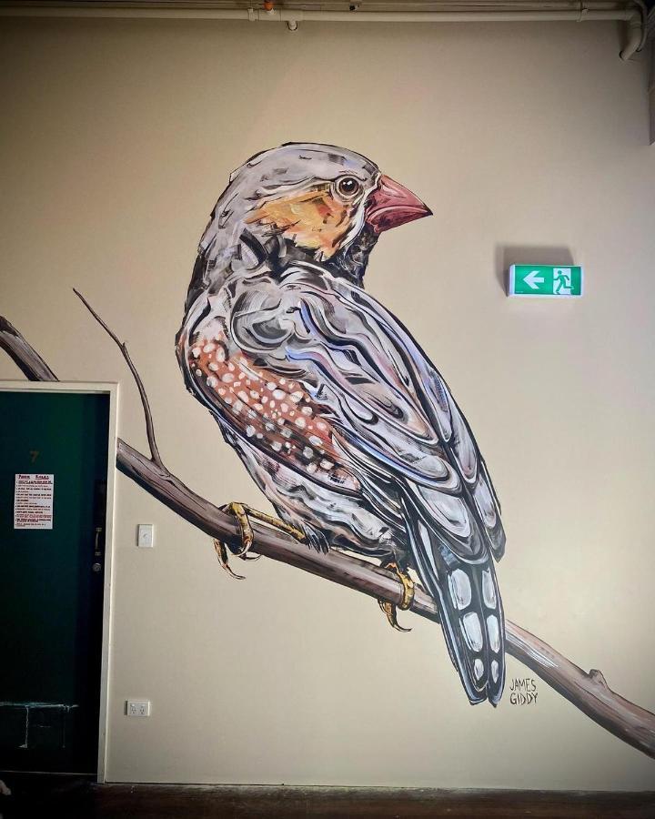 Sundancer Backpackers Hostel Fremantle